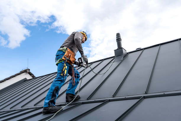 Best Roof Maintenance and Cleaning  in Alta Sierra, CA